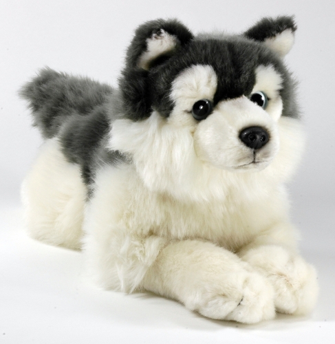 Husky liegend 38 cm